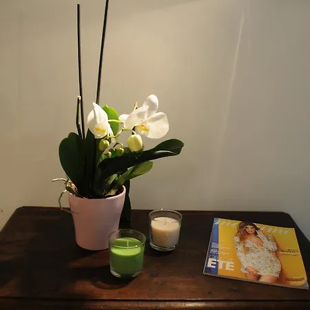 Apartment Studio Cosy Rue Saint Jacques
